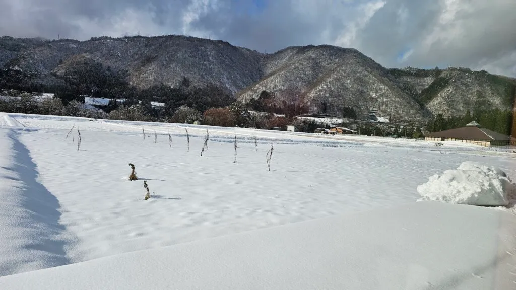 岐阜県白川村　雪景色